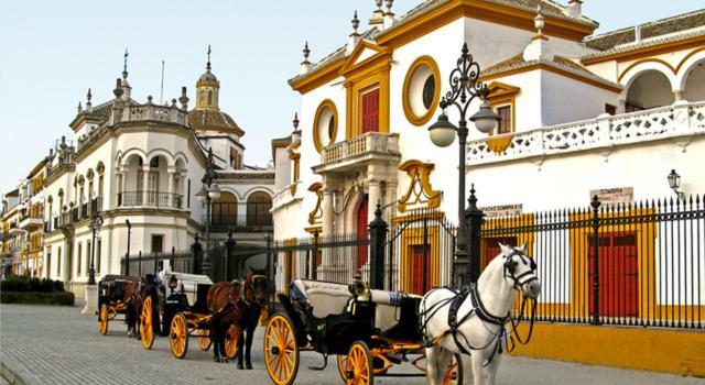 Sevilla Butterfly Suites Ngoại thất bức ảnh